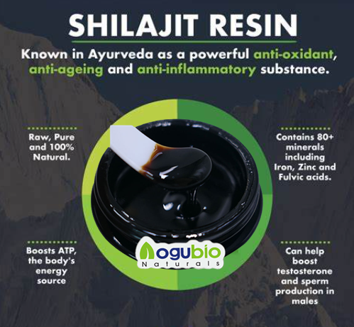 shilajit resin