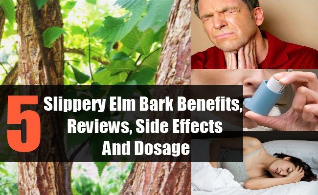 Slippery Elm Bark Capsules: What Are They Used For?