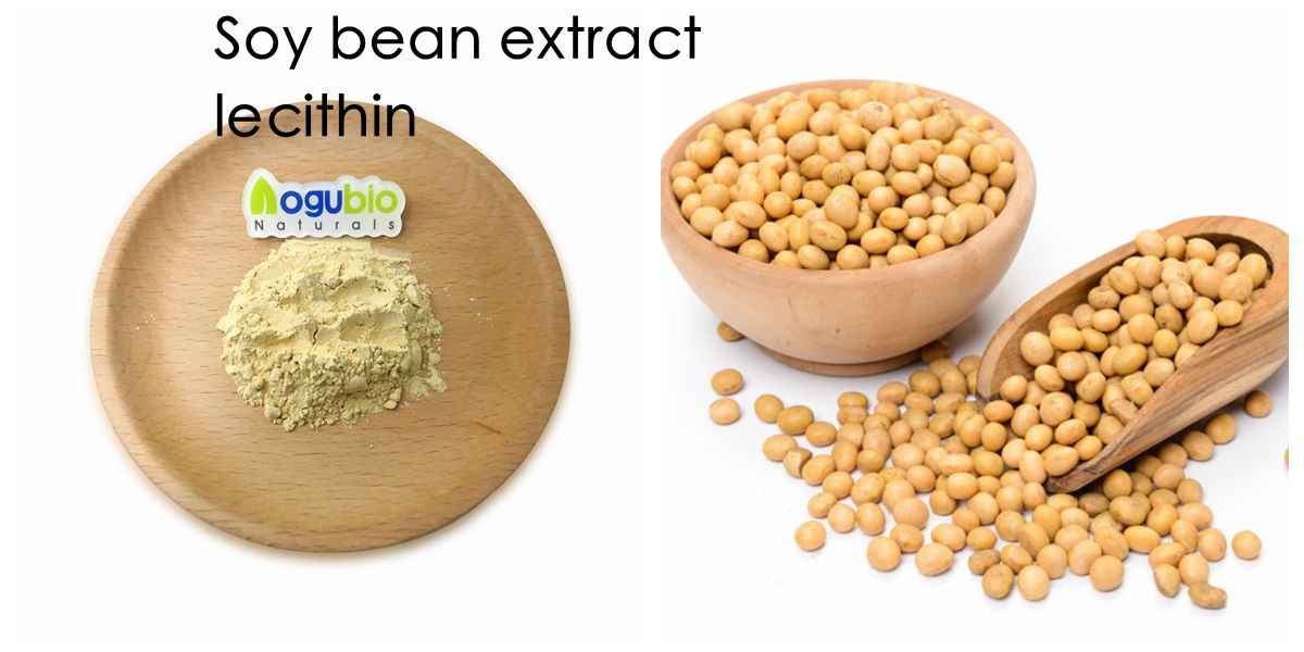 soy bean lecithin