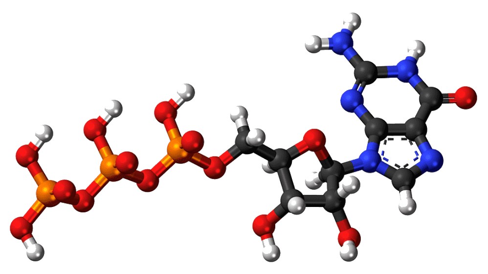 uridine-monophosphate-UMP-powder