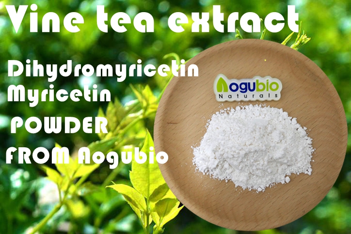 vine tea extract 2