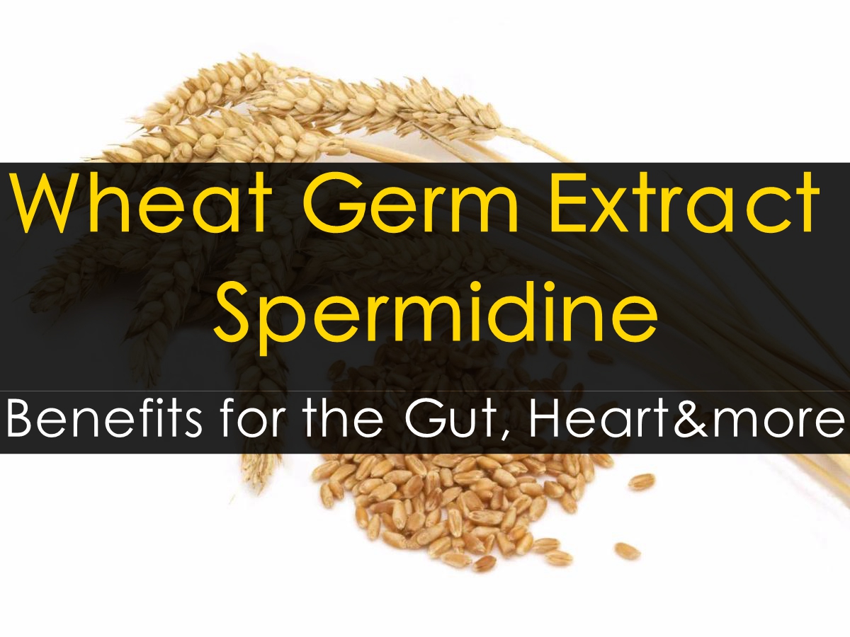 wheat Germ Spermidine 1