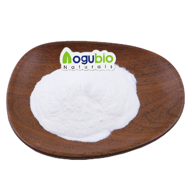 Organic Chicory Root Extract Inulin Powder