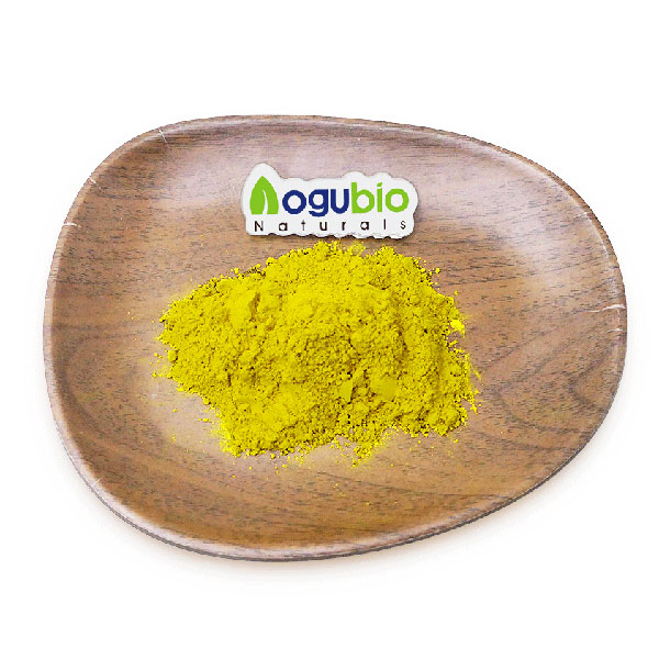 High Quality Berberis vulgaris Extract