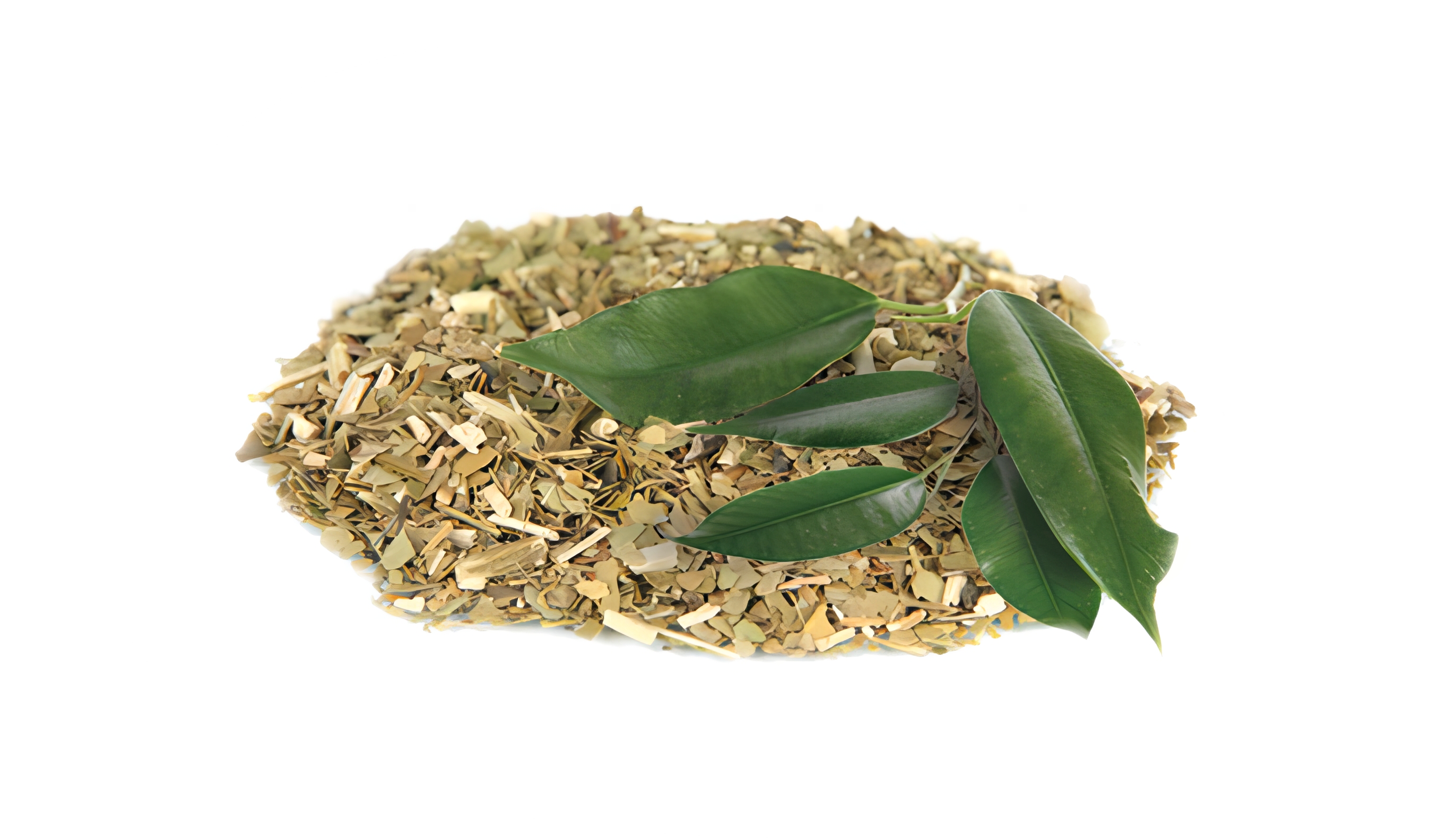 What is Yerba mate extract?