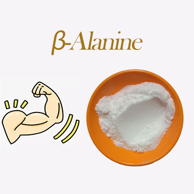 What is β-Alanine?