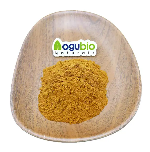 Centella Asatica Extract Gotu Kola Extract 80% Madecassoside Supplier