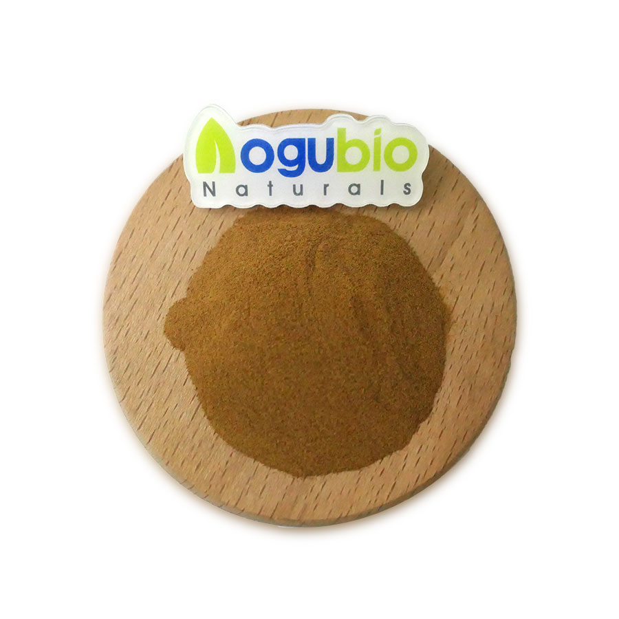 Wholesale Bulk Natural Black Garlic Extract Powder