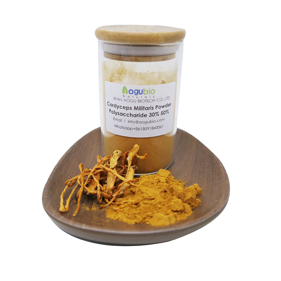 Healthcare Supplement Cordyceps Militaris Extract powder