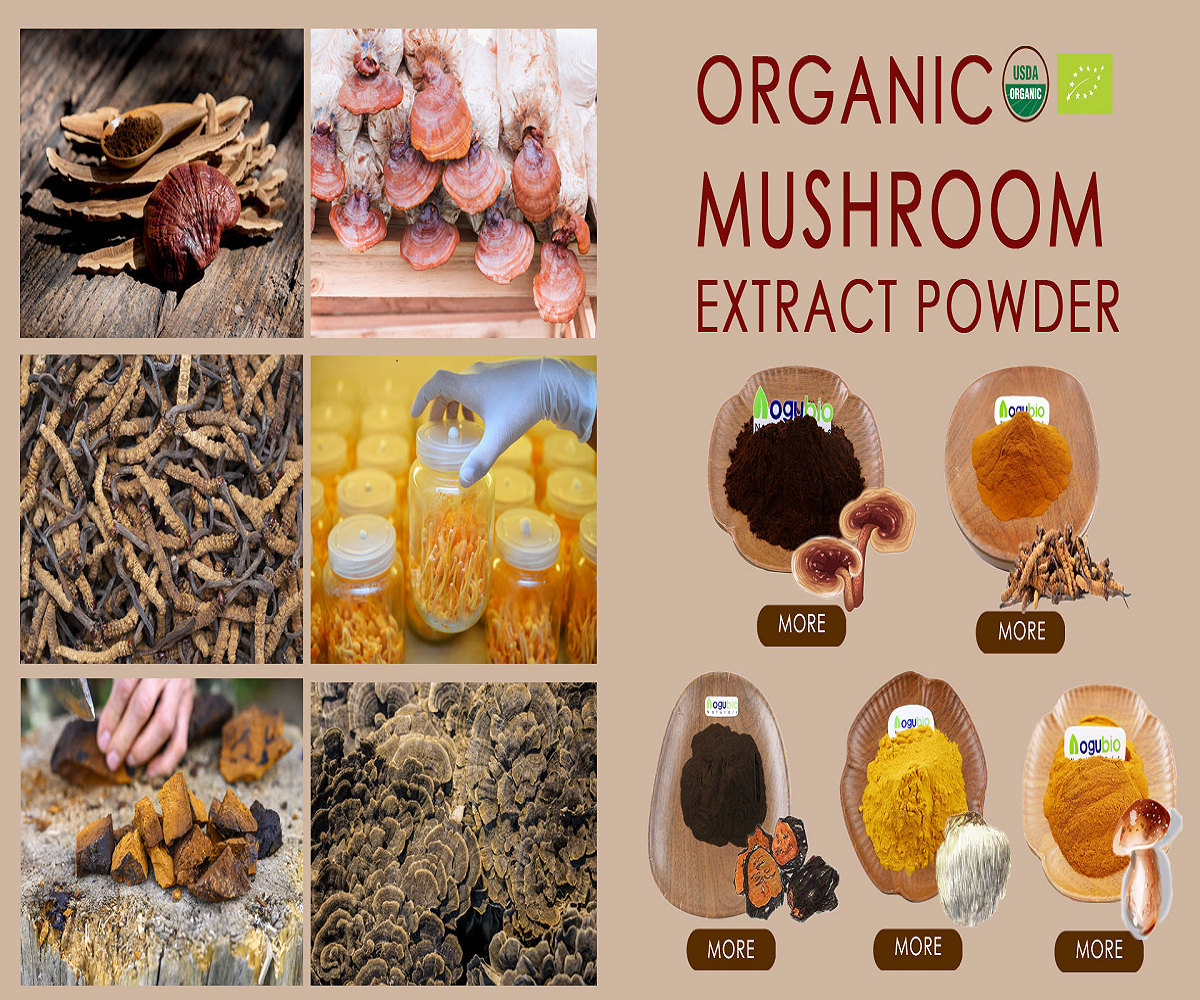 Shiitake Mushroom Extract: The Natural Secret to Radiant Skin